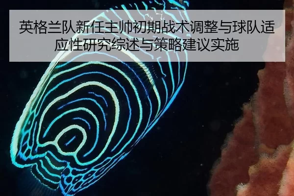英格兰队新任主帅初期战术调整与球队适应性研究综述与策略建议实施