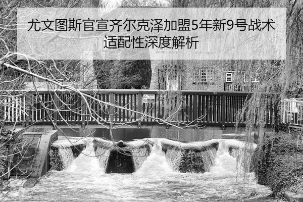 you-wen-tu-si-guan-xuan-qi-er-ke-ze-jia-meng-nian-xin-hao-zhan-shu-shi-pei-xing-shen-du-jie-xi-2-371.jpg